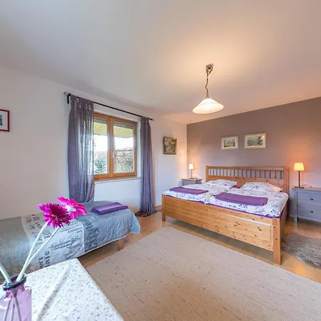 Am Kurpark Apartment Waging am See